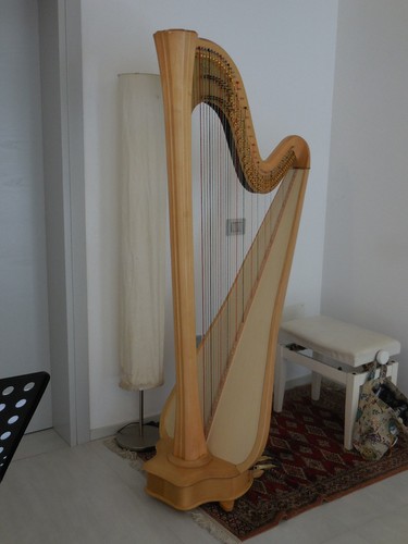 Arpa salvi daphne - daphne, 47ex