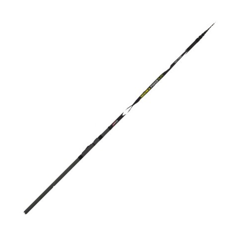 Canna allround robusta