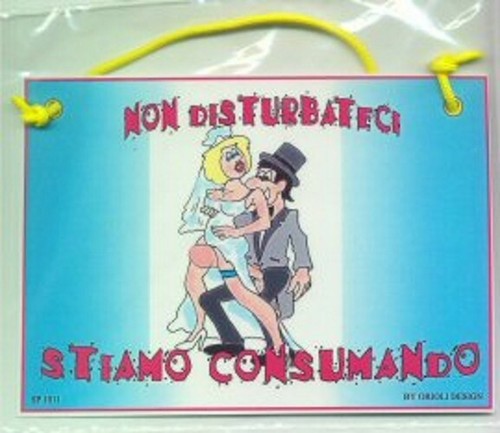 Cartello sposi non - cartello,