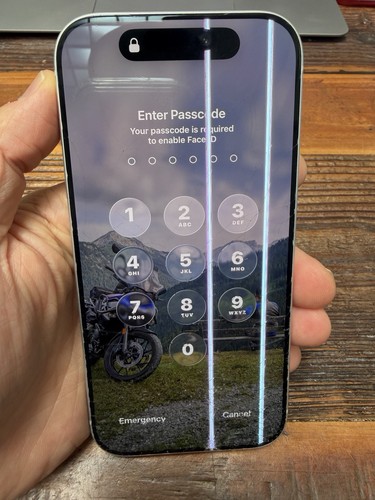 Oem iphone pro a3256 - oem, 17