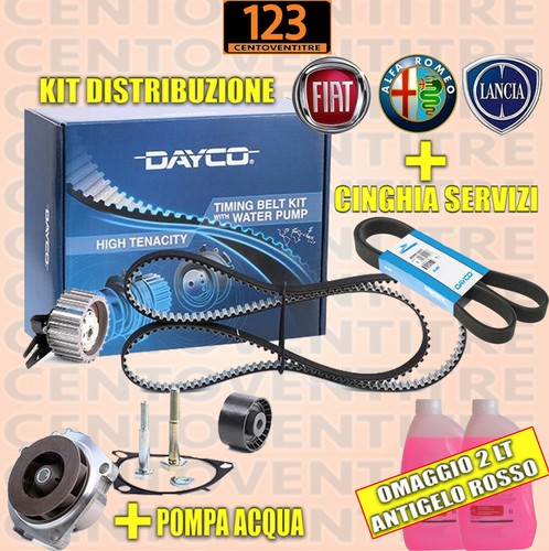 Kit distribuzione fiat - kit,