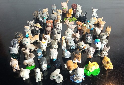 Cuccioli cerca amici lotto - cuccioli,
