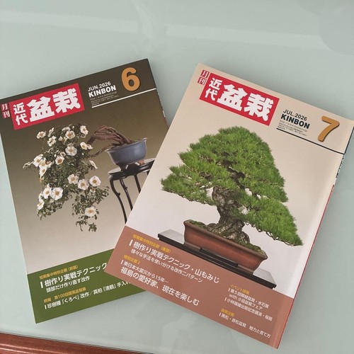 Japanese bonsai magazine - bonsai,
