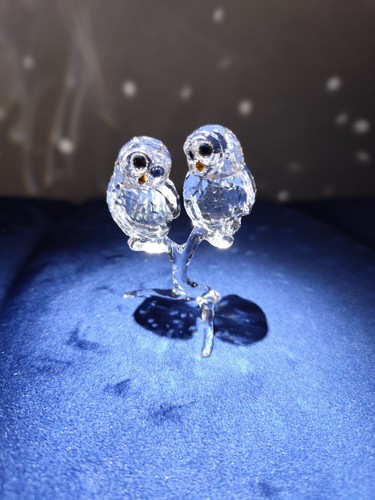 Swarovski coppia gufo bellezze