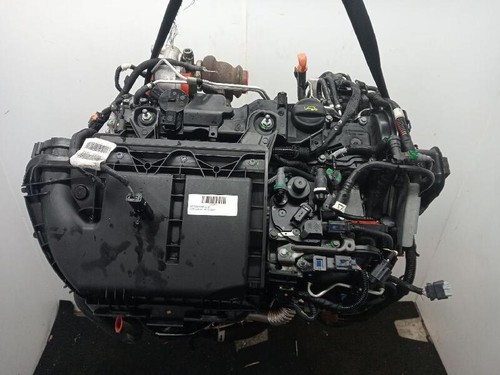 Motore citroen hdi 8h01 - motore,