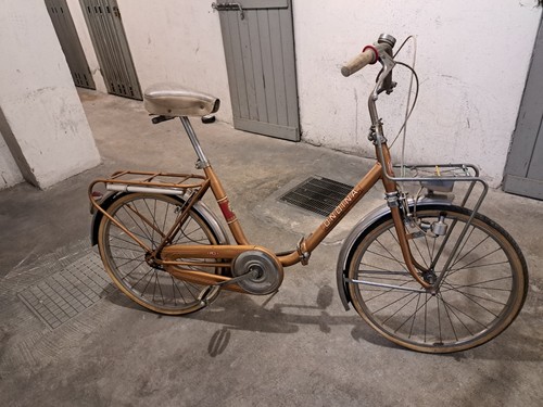 Bicicletta donna ondina - bicicletta,