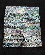 Mother of Pearl Green Abalone