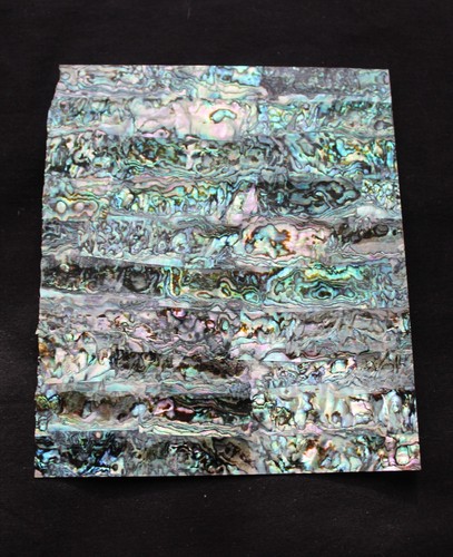 Mother pearl green - of, abalone