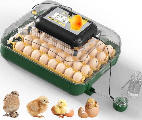 Maticoopx incubatrice per - per, uova