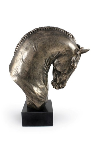 Cavallo andaluso grande testa - cavallo,