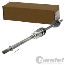 ALBERO MOTORE NTY ANTERIORE