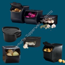 Tupperware magazzino patate