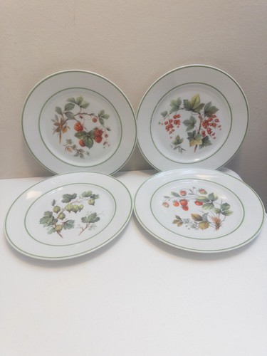 Classic rose collection - rose,
