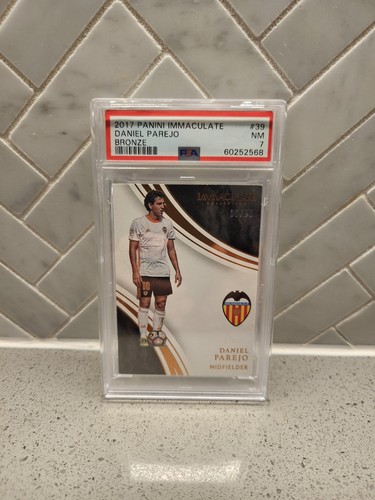 2017 panini immacolata - 2017,