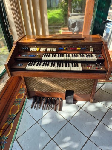 Organo elettronico farfisa - organo,