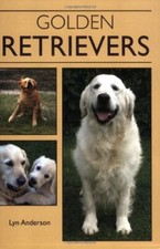 Golden Retrievers By Lyn