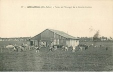 HAUTE SAONE  AILLEVILLERS