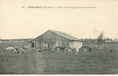 Haute saone aillevillers - haute,