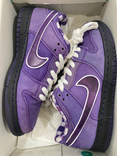 Concepts nike dunk low - sb,