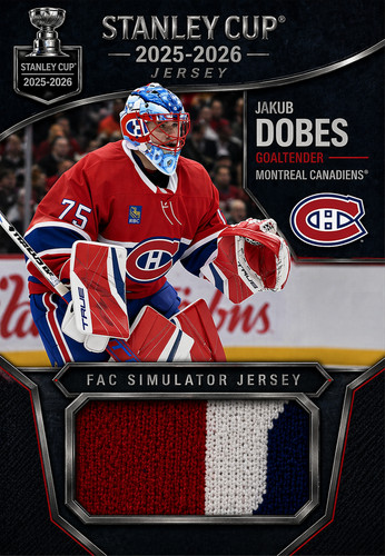 Jakub dobes rookie jersey card - jersey,