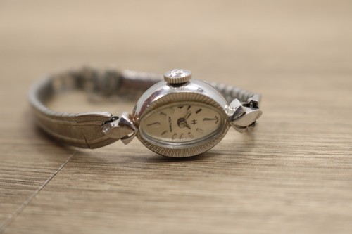Hamilton 768 watch jewels - 768,