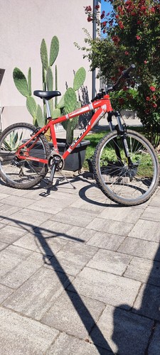 Scout mtb mountain bike - mountain,