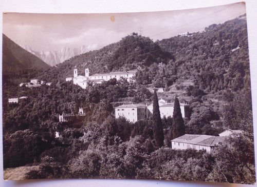 To202 cartolina massa - -,