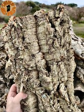 5 Zattere in Sughero Naturale