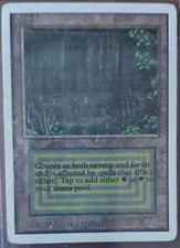 Magic MTG Unlimited Bayou Authenticated Dual Land Gathering www_MoxBeta_com