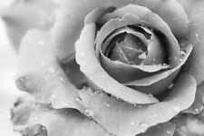 Fotomurale VINILE XXL CARTA DA