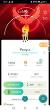 Sciarpa Ponyta Candela XXS