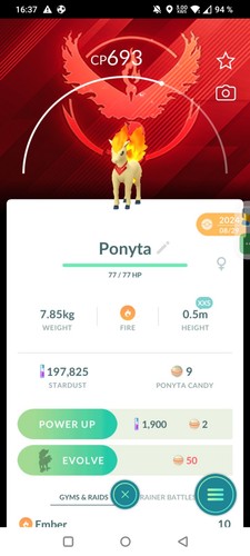 Sciarpa ponyta candela xxs - ponyta,