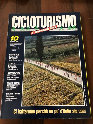 Cicloturismo mountain bike - mountain,