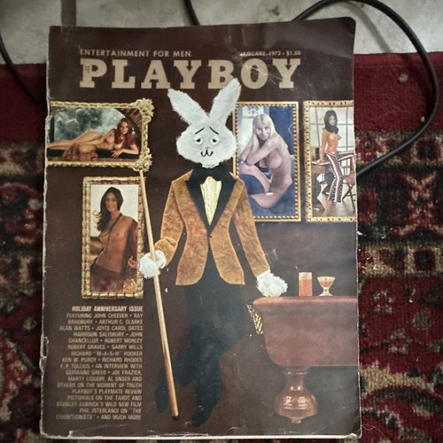Play boy magazine collection - magazine,