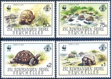 Isole remote. Fauna. Tartarughe 1987.