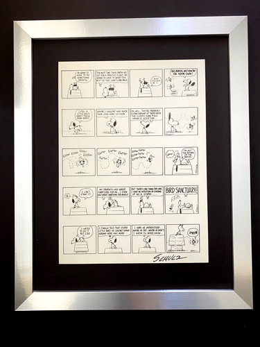 Charles schulz cartone - charles, +
