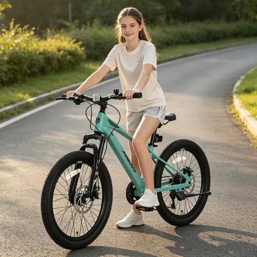 Aiva mountain bike 7 - bike,
