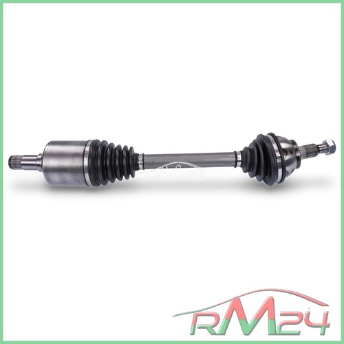 Albero trasmissione motore - albero,