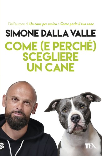 Come scegliere un - (e, perché)