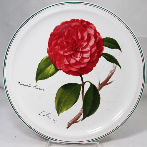 Targa parete camelia eximia - camelia,