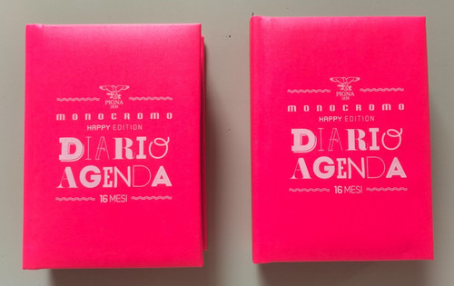 Diario agenda monocromo pigna - diario,