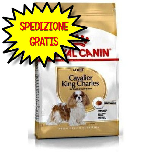 Royal canin cane cavalier king - cane,