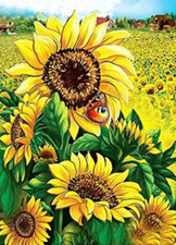 GIRASOLE (4) MOTIVO PUNTO