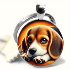 Beagle Welpe