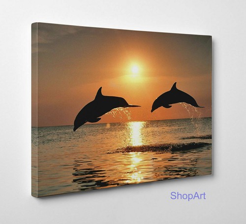Quadro danza dei - ⭐️quadro,