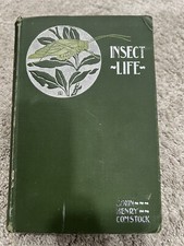 J. H. Comstock INSECT LIFE