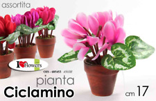 PIANTA CICLAMINO PIANTINA FINTA CON VASO FIORI FINTI ARTIFICIALE FIORE COL 17 CM