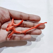 Ramo di corallo rosso pietra