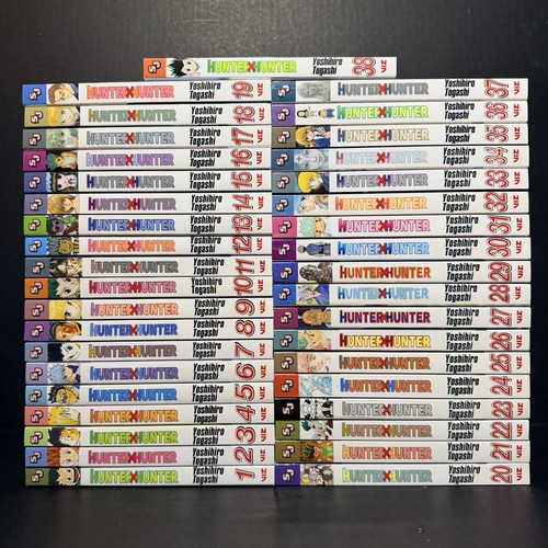Hunter manga volumi - x,