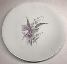 Lot1 Di 6 Piatti Piani IN